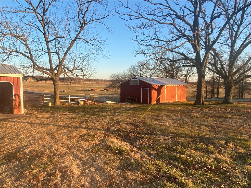 CHICKEN DREAMS - Farm