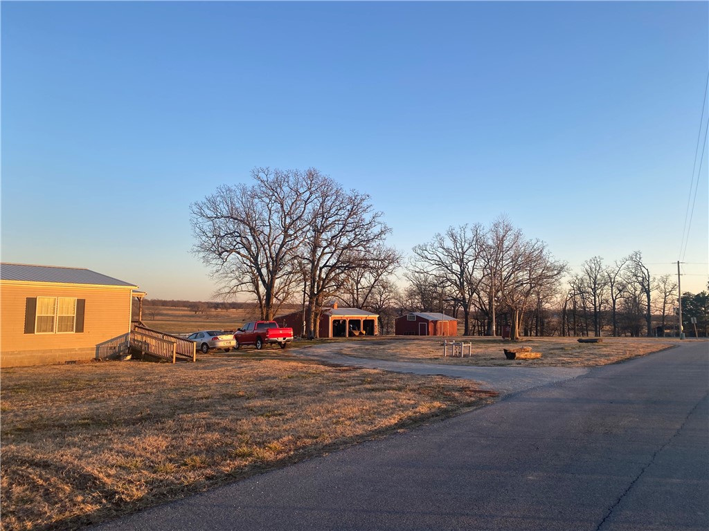 CHICKEN DREAMS - Farm