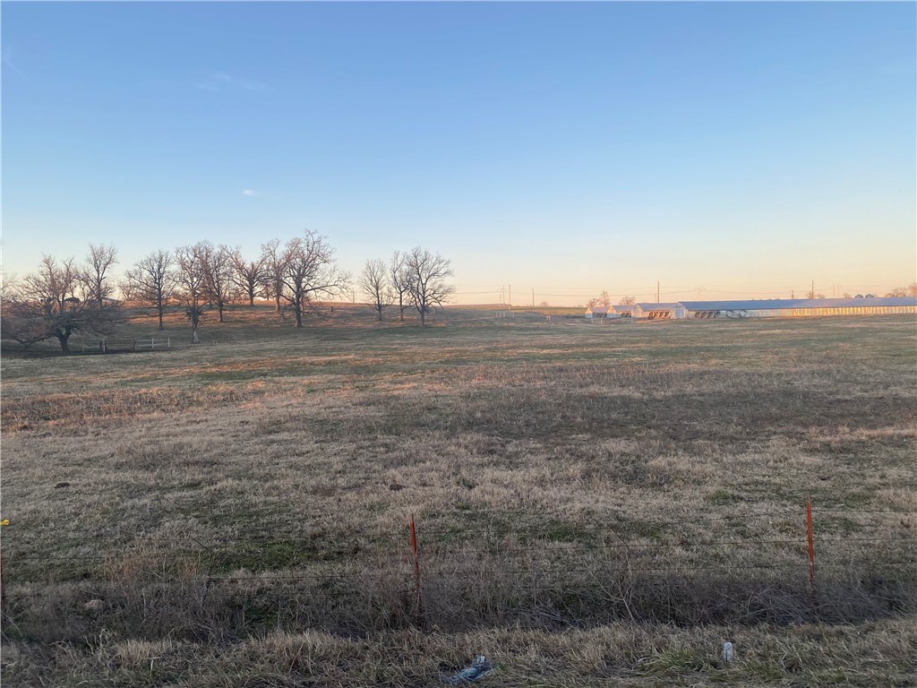 CHICKEN DREAMS - Farm