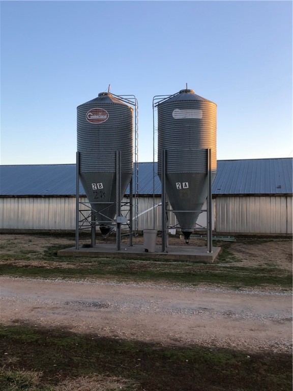 CHICKEN DREAMS - Farm