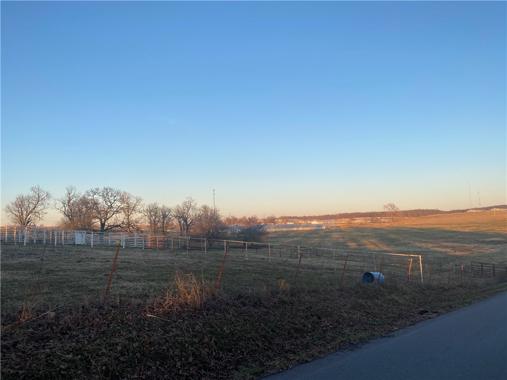 CHICKEN DREAMS - Farm