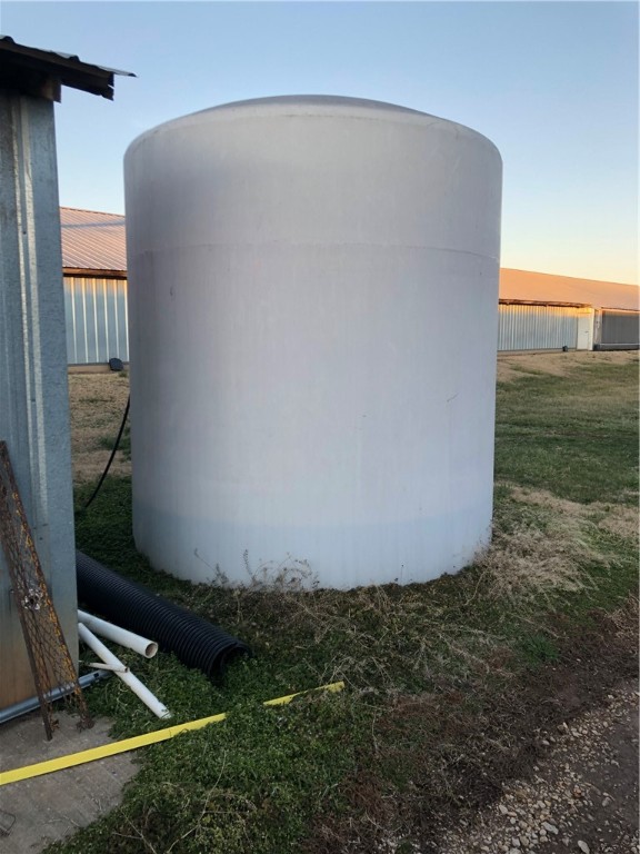 CHICKEN DREAMS - Farm