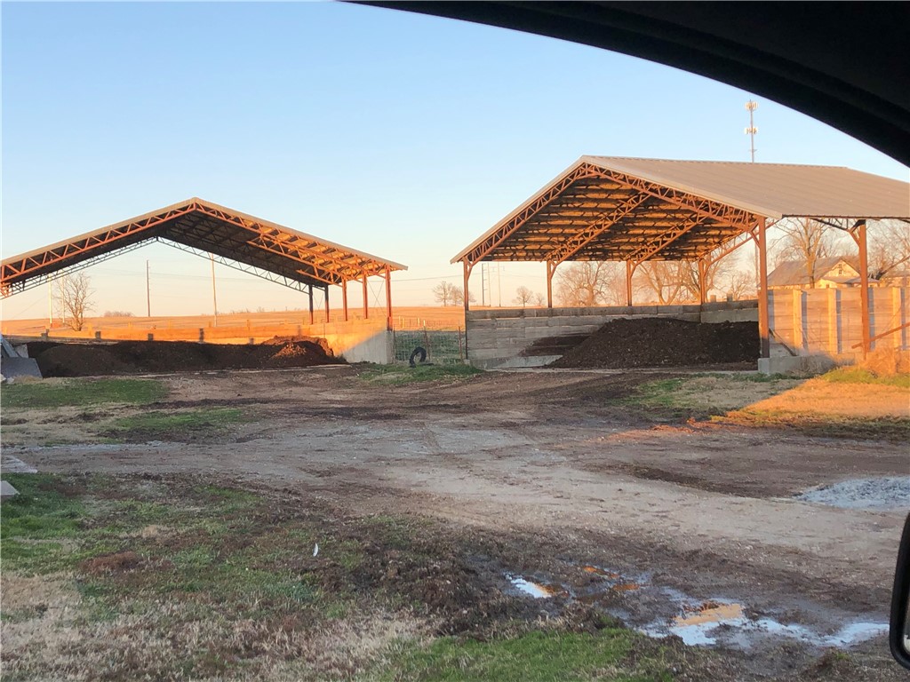 CHICKEN DREAMS - Farm