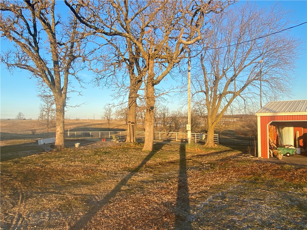 CHICKEN DREAMS - Farm