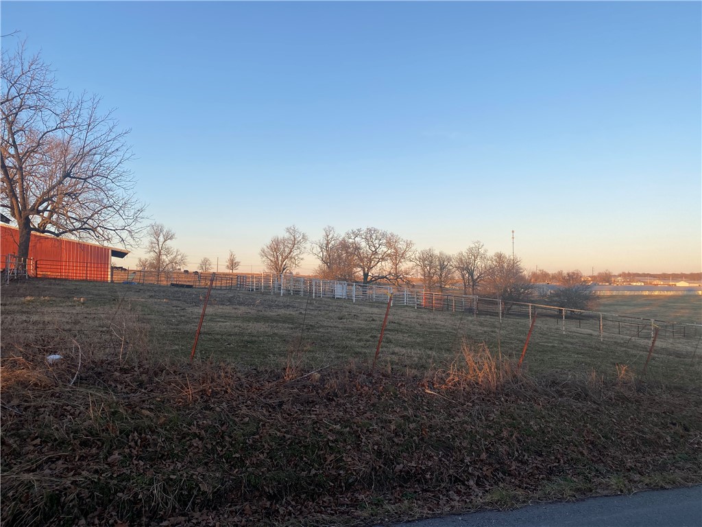 CHICKEN DREAMS - Farm