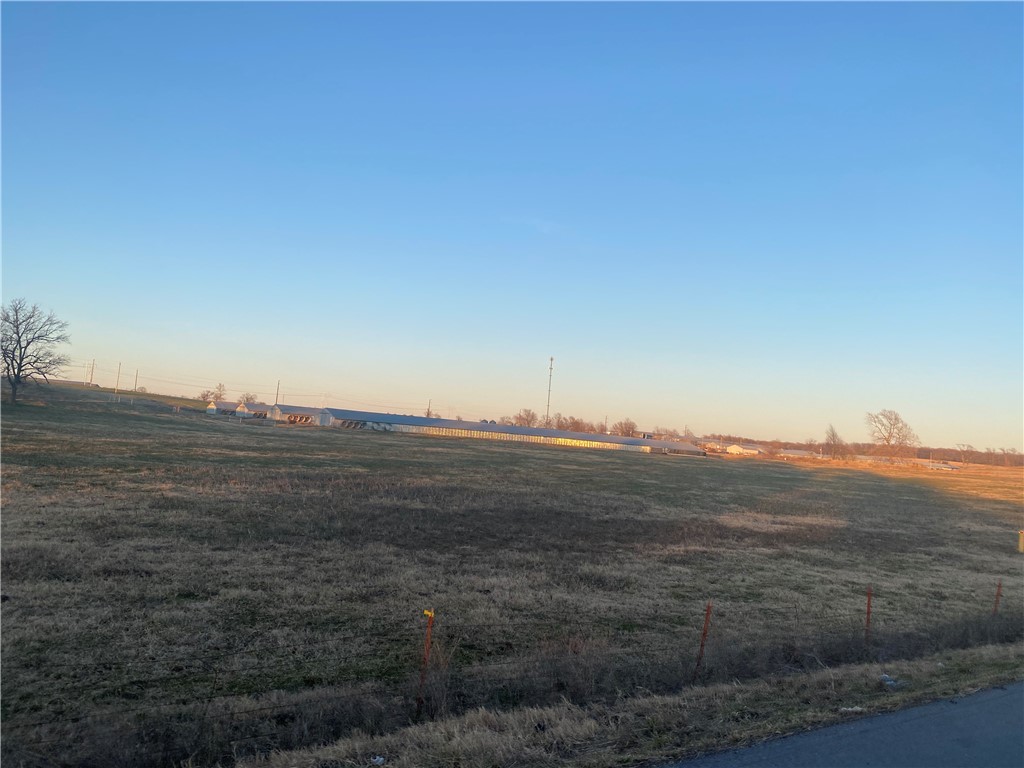 CHICKEN DREAMS - Farm