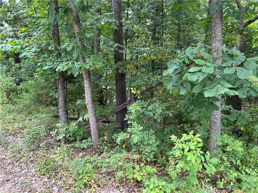SEWERED access for this lot . Lot is wooded would be nice for a home with walkout basement. Easy access to all Bella Vista has to offer. Such as Golf, Boating, Fishing, Biking trails, Hiking, Tennis etc... Or Just relax and watch birds, squirrels, deer etc... Less traffic because located on a cul de sac.