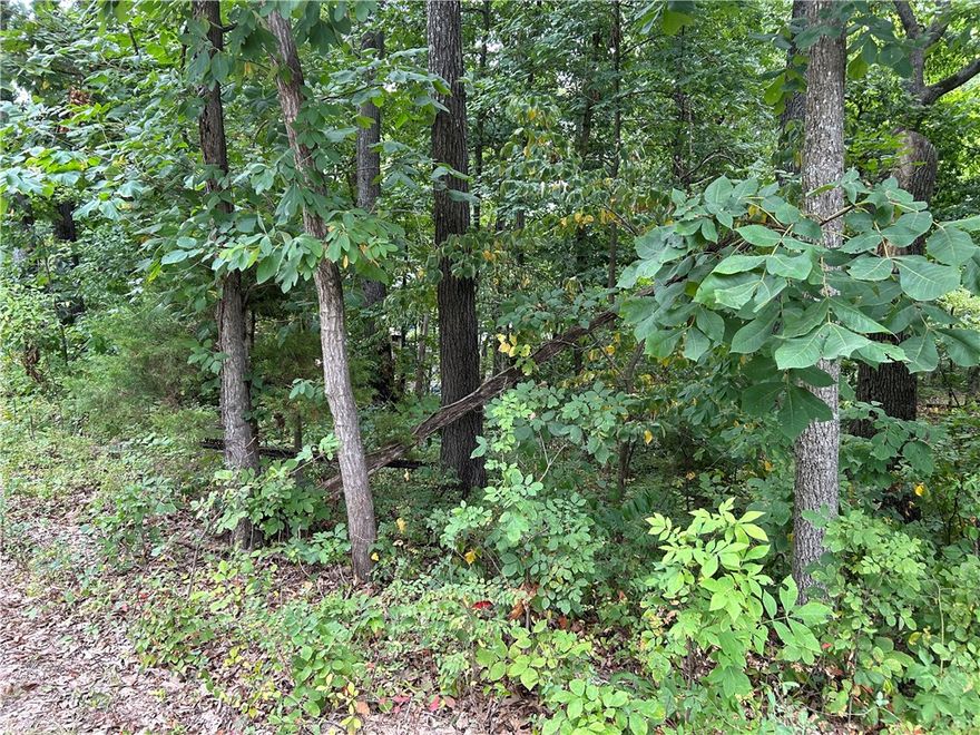 SEWERED access for this lot . Lot is wooded would be nice for a home with walkout basement. Easy access to all Bella Vista has to offer. Such as Golf, Boating, Fishing, Biking trails, Hiking, Tennis etc... Or Just relax and watch birds, squirrels, deer etc... Less traffic because located on a cul de sac.