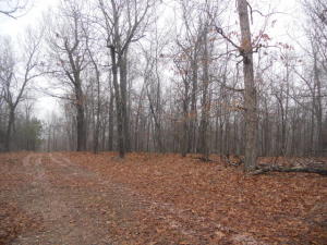 All wooded property close to the Buffalo River, good building site with rural water and electric available.