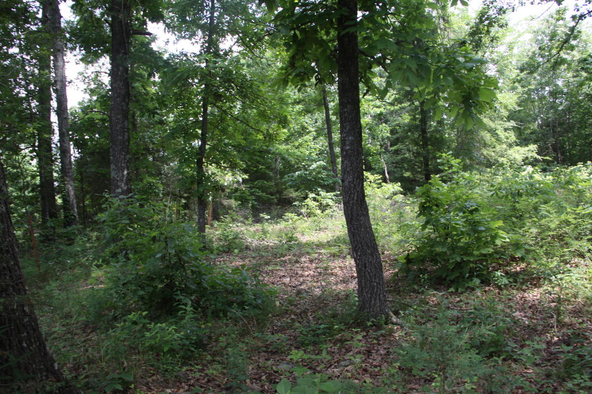 35 wooded acres. Short drive to Baker Ford Access Point o Buffalo River.