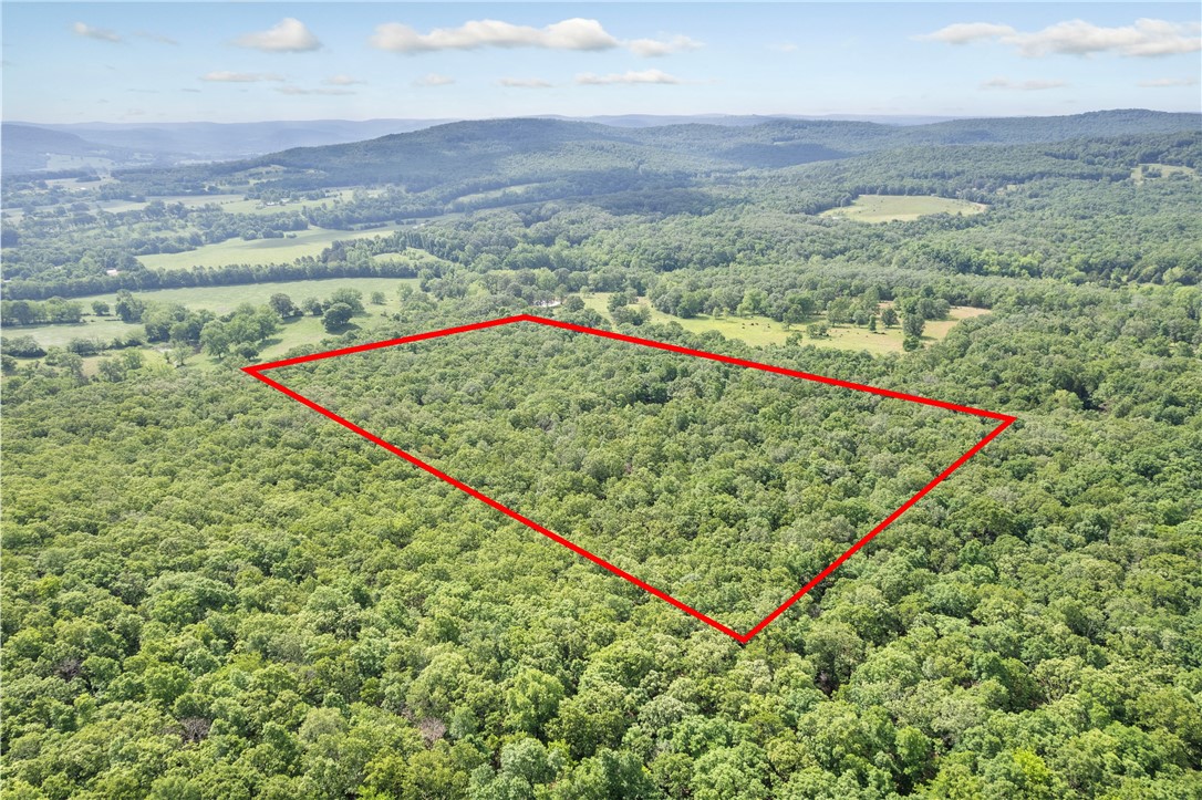 Welcome to your slice of natural Arkansas beauty! This incredible 20-acre parcel offers the perfect blend of seclusion and opportunity, located just off Madison 2400 near Huntsville. Nestled behind a gated entrance and accessed via an 800 ft easement, the land features a rustic 800 sq ft cabin — a blank canvas for your dream hunting lodge, off-grid getaway, or future build. While the property is raw with no current utilities, water and electric are available at the road, making future development more accessible. Enjoy the tranquility of the countryside with room to roam, hike, explore, or simply relax surrounded by nature. Whether you're looking to escape the city, invest in land, or build your forever home, this property offers endless possibilities.