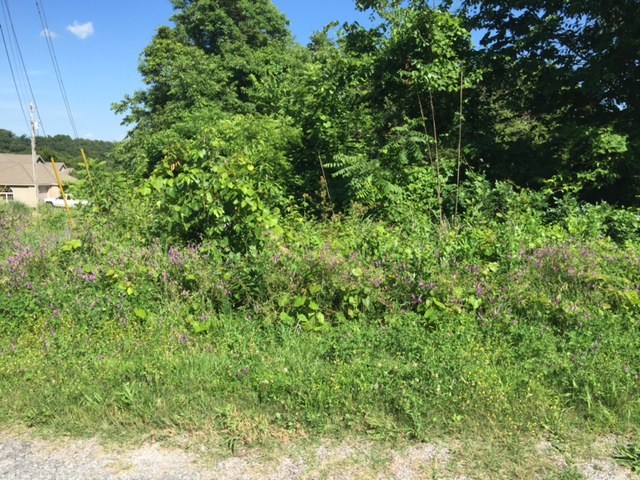 Large corner lot is perfect for your dream home in a quiet part of Bella Vista. There is 92ft of frontage and 30 more feet of common property to spread out on.