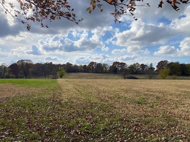 Springdale Outlots - Land