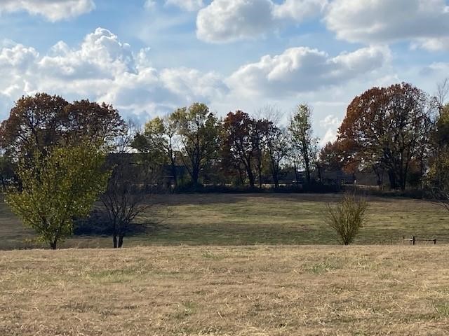 Springdale Outlots - Land