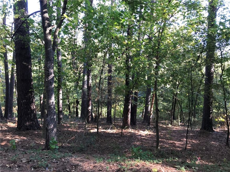 Residential lot in Bella Vista with building potential. Near Loch Lomond, Gravette School District, Easy access to I49 for daily commute.