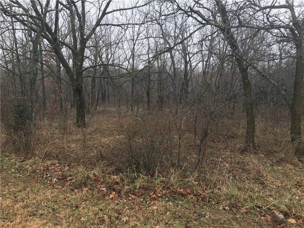 Beautiful level buildable lot that backs up to Highlands Golf Course. Great location, close to both bypass and Lancashire Blvd.
