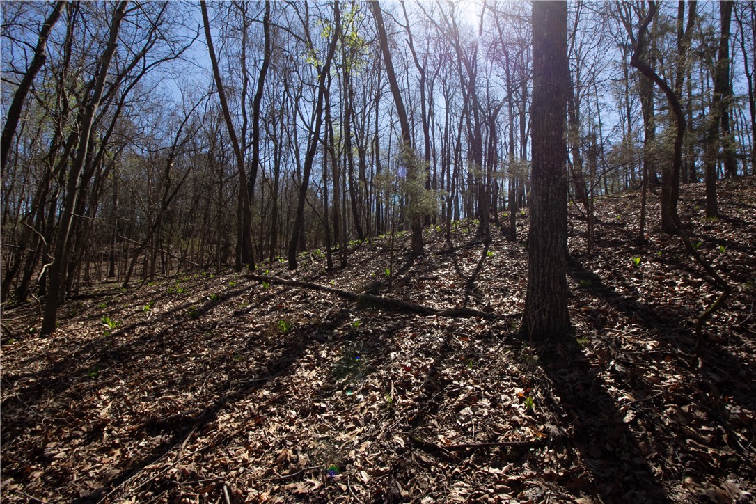 Tanglewood Resort 2 Rurban - Land