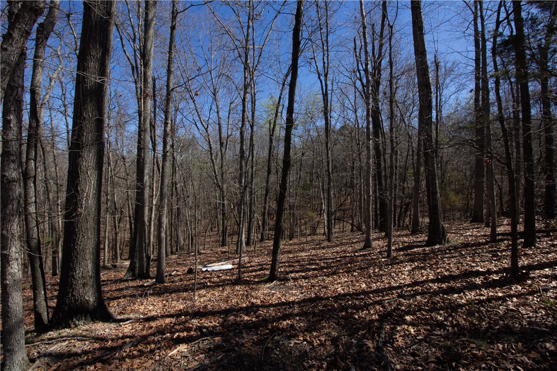 Tanglewood Resort 2 Rurban - Land