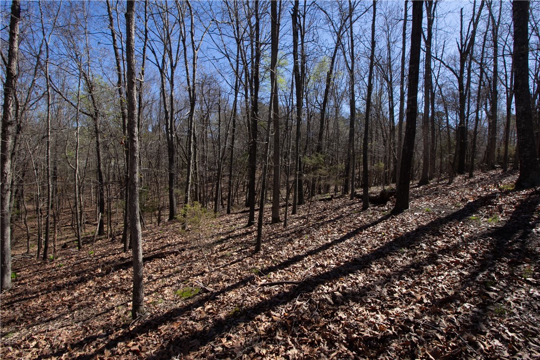 Tanglewood Resort 2 Rurban - Land