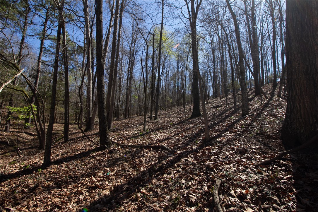 Tanglewood Resort 2 Rurban - Land