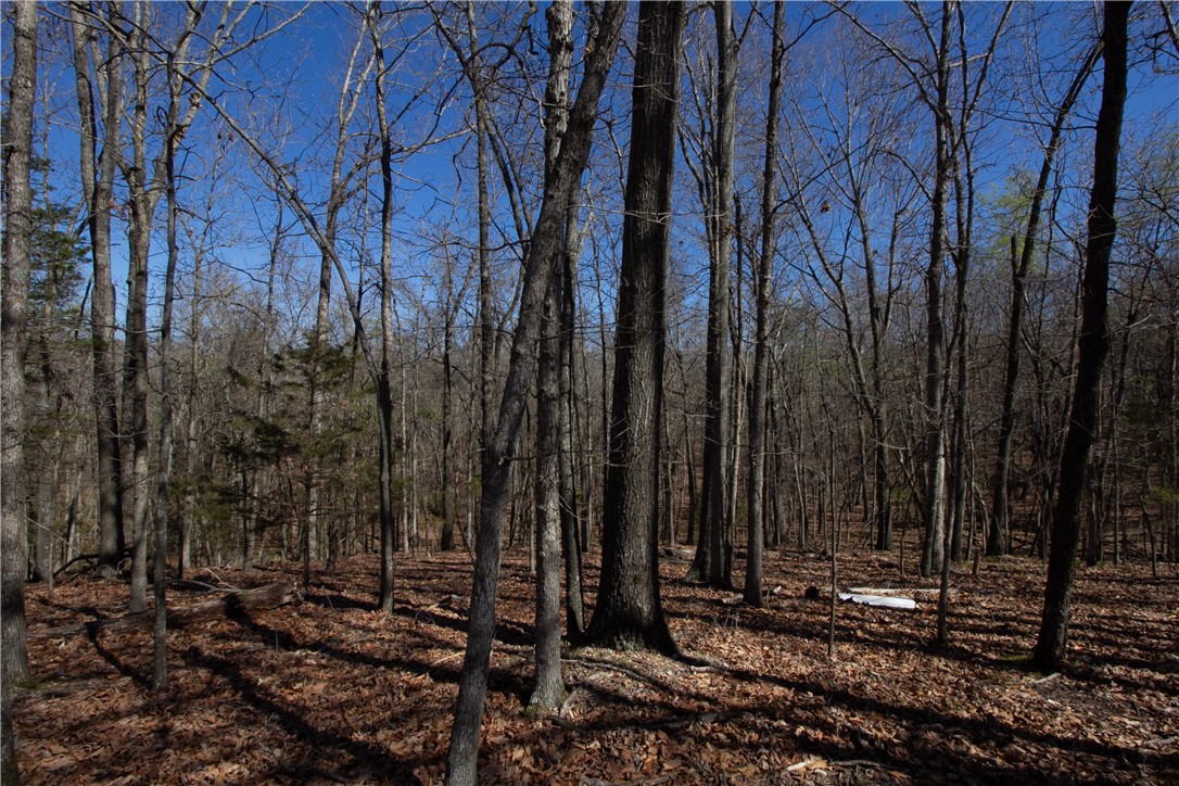 Tanglewood Resort 2 Rurban - Land