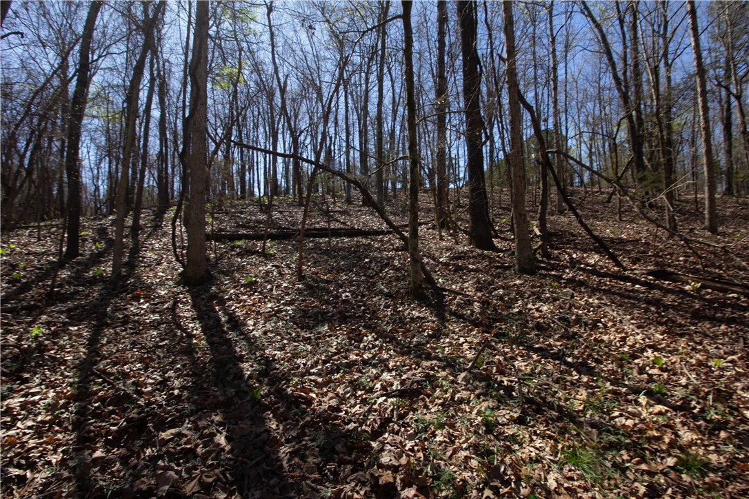 Tanglewood Resort 2 Rurban - Land