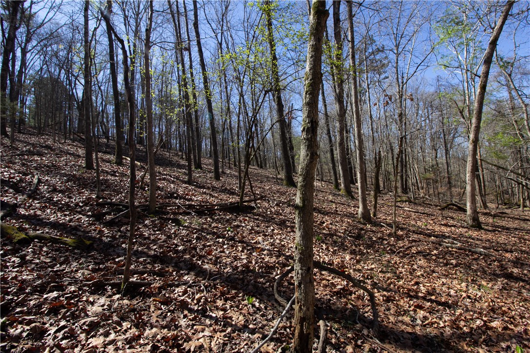 Tanglewood Resort 2 Rurban - Land