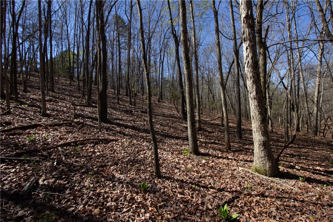 Tanglewood Resort 2 Rurban - Land