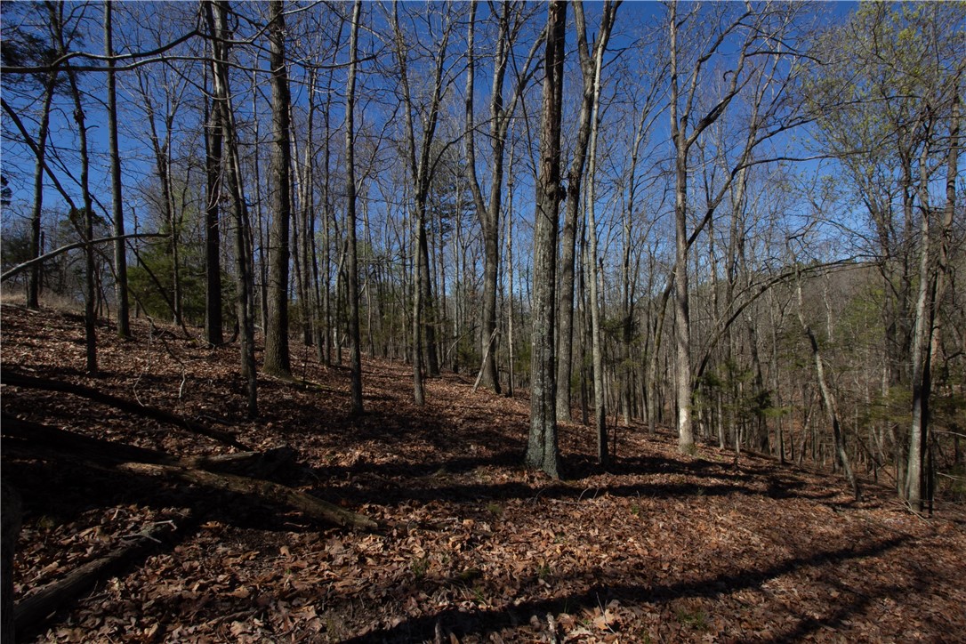 Tanglewood Resort 2 Rurban - Land