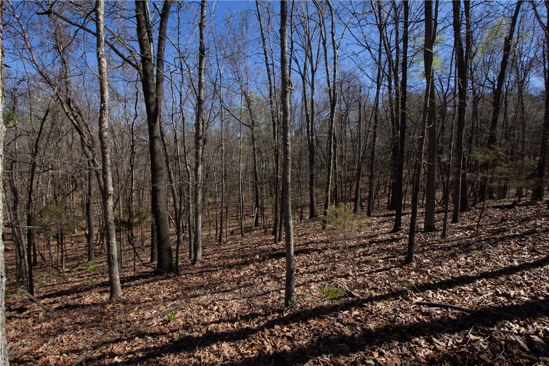 Tanglewood Resort 2 Rurban - Land