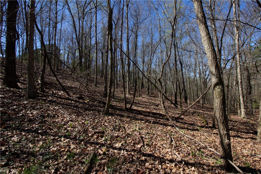 Tanglewood Resort 2 Rurban - Land