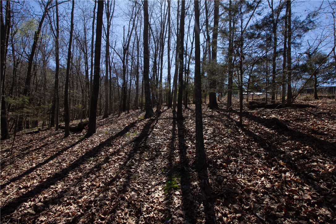 Tanglewood Resort 2 Rurban - Land