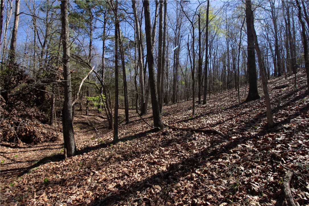 Tanglewood Resort 2 Rurban - Land