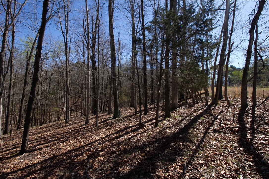 Tanglewood Resort 2 Rurban - Land