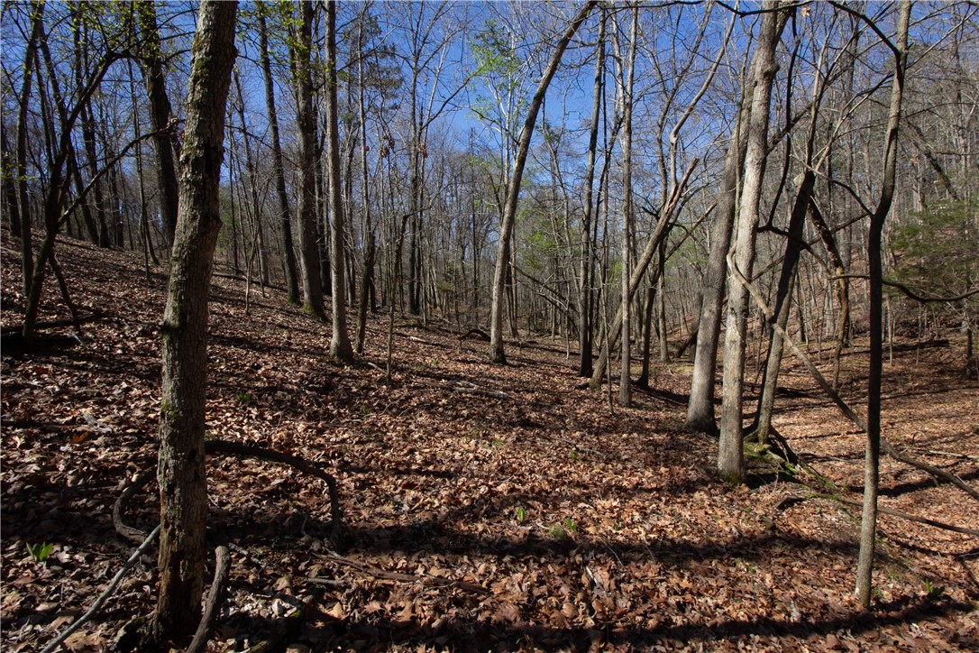 Tanglewood Resort 2 Rurban - Land