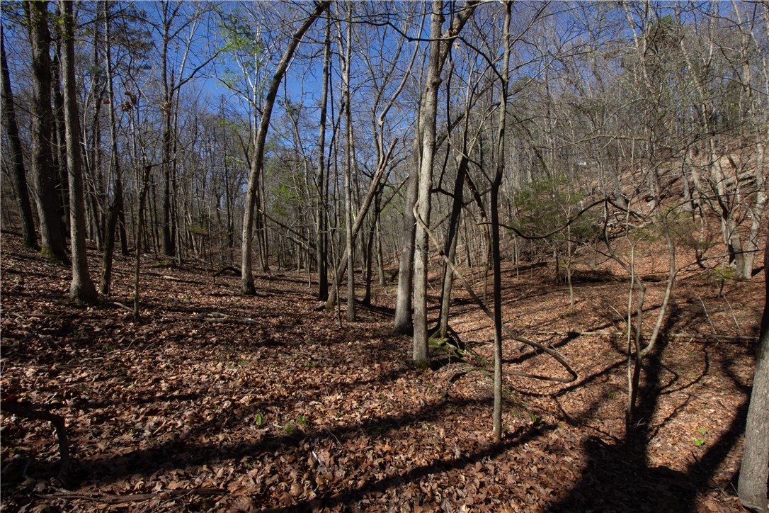 Tanglewood Resort 2 Rurban - Land