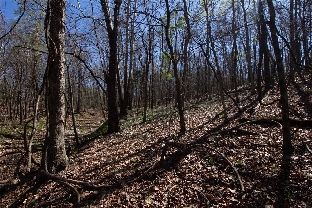 Tanglewood Resort 2 Rurban - Land