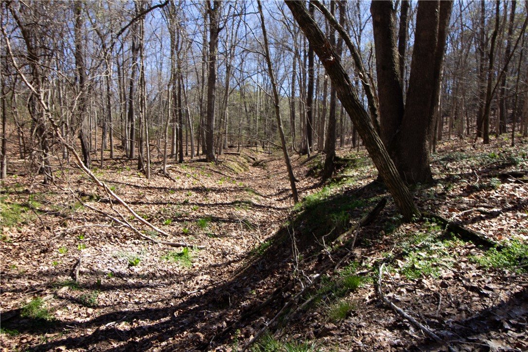 Tanglewood Resort 2 Rurban - Land