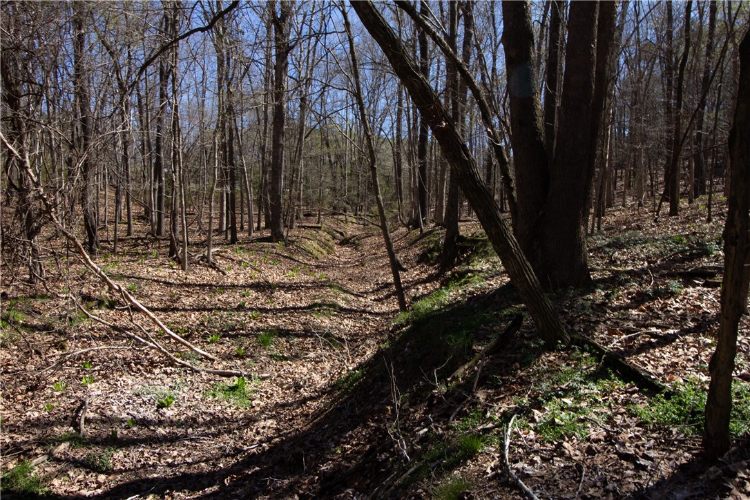 Tanglewood Resort 2 Rurban - Land