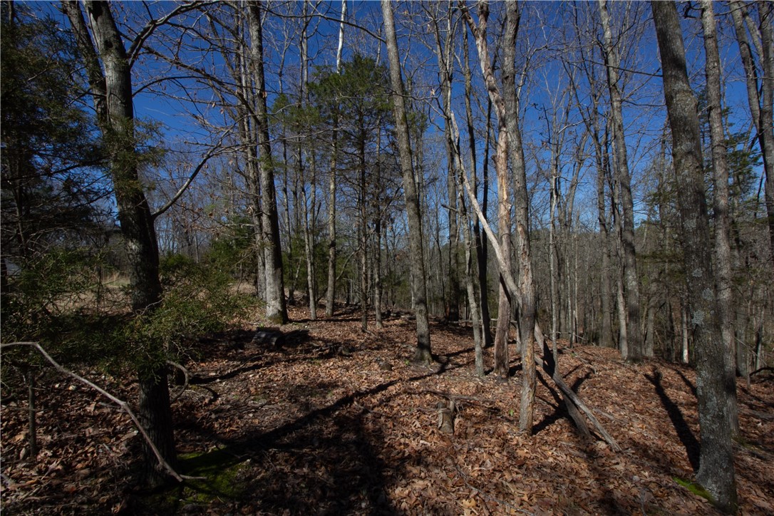 Tanglewood Resort 2 Rurban - Land