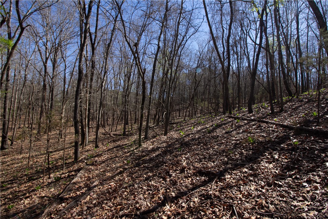 Tanglewood Resort 2 Rurban - Land