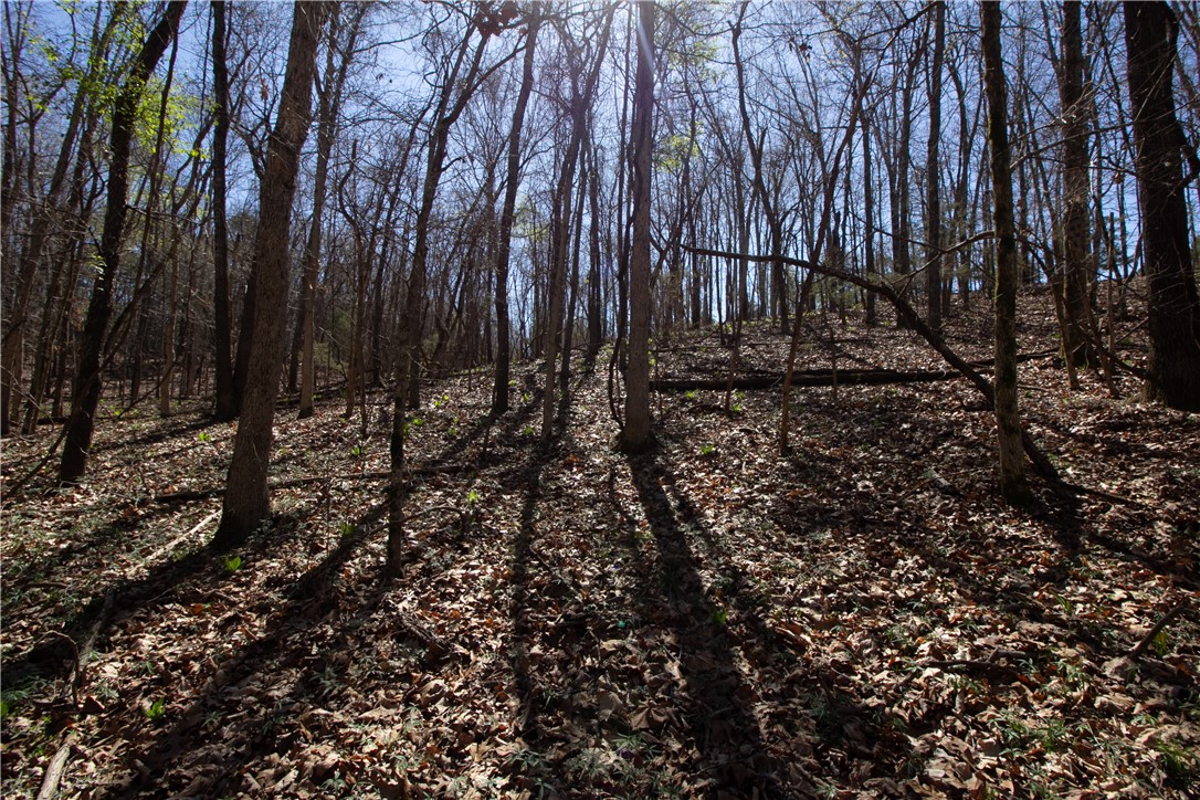 Tanglewood Resort 2 Rurban - Land