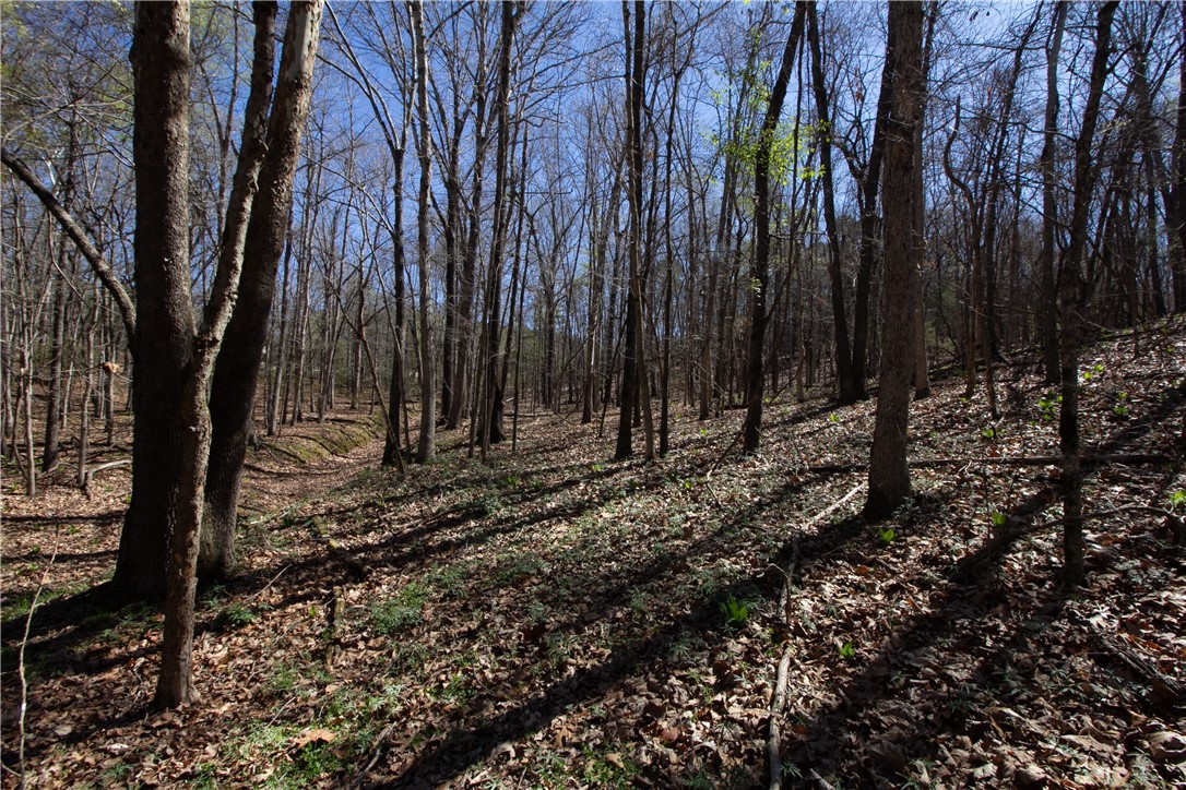 Tanglewood Resort 2 Rurban - Land