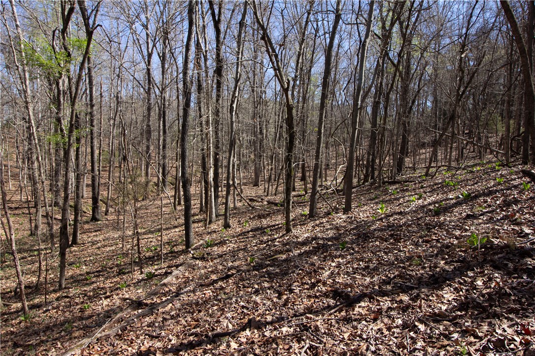 Tanglewood Resort 2 Rurban - Land