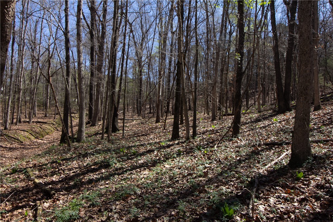 Tanglewood Resort 2 Rurban - Land