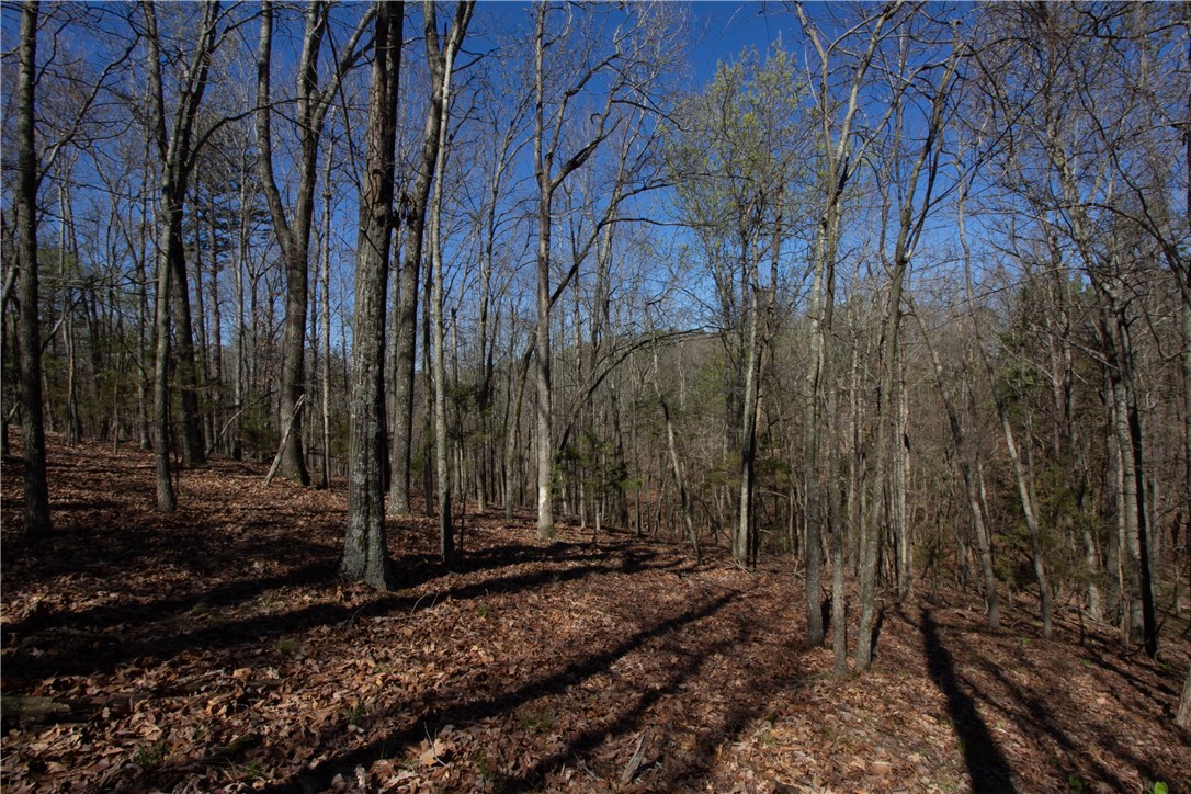 Tanglewood Resort 2 Rurban - Land