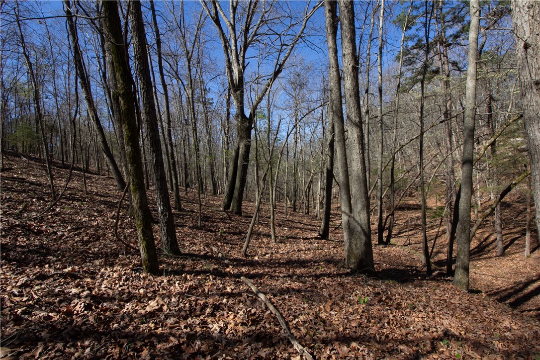 Tanglewood Resort 2 Rurban - Land