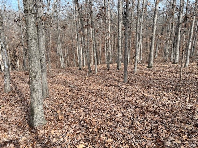 Nice wooded lot located in a quiet area with no immediate neighbors. Peaceful and nice with a natural setting. Close to several trails. Convenient to all Bella Vista amenities. Bentonville Schools. Utilities could be available for new home construction: Carroll Electric; Bella Vista Public Water; Septic system would be needed; Propane tank would be needed if not all-electric home.