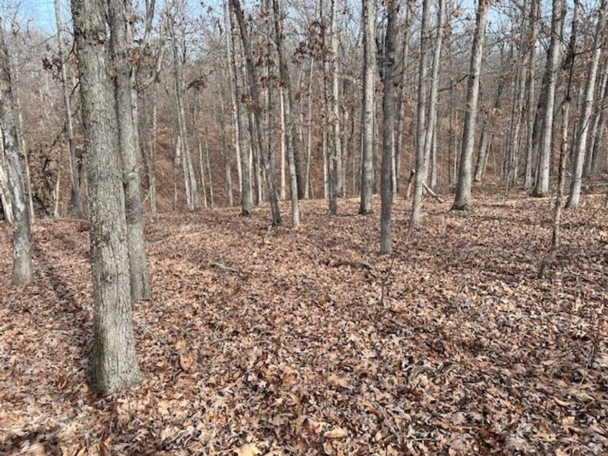 Nice wooded lot located in a quiet area with no immediate neighbors. Peaceful and nice with a natural setting. Close to several trails. Convenient to all Bella Vista amenities. Bentonville Schools. Utilities could be available for new home construction: Carroll Electric; Bella Vista Public Water; Septic system would be needed; Propane tank would be needed if not all-electric home.