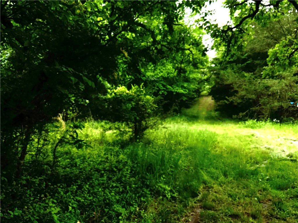 Goshen Land - Land